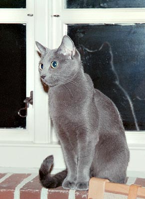 August 2001