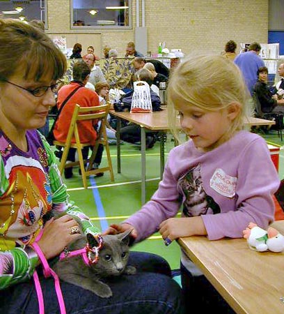 Anne Merete, Zenit og Laura Feline